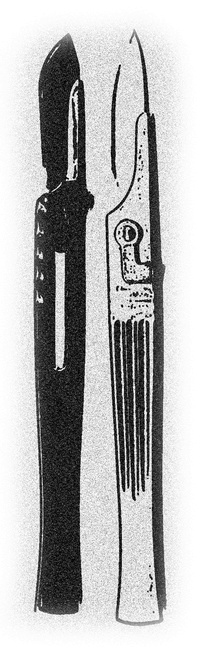 Иллюстрация к книге — Монстролог. Кровавый остров [i_001.jpg]