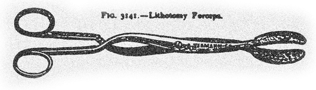 Иллюстрация к книге — Монстролог. Кровавый остров [i_004.jpg]