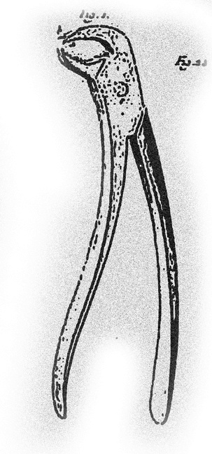 Иллюстрация к книге — Монстролог. Кровавый остров [i_014.jpg]