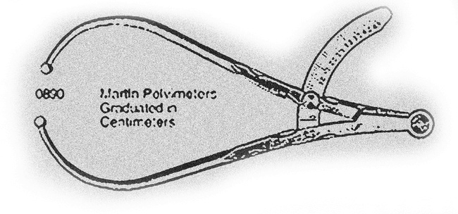 Иллюстрация к книге — Монстролог. Кровавый остров [i_015.jpg]