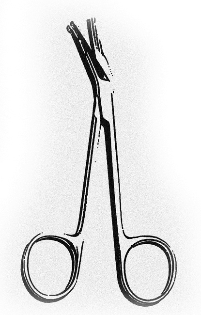 Иллюстрация к книге — Монстролог. Кровавый остров [i_017.jpg]