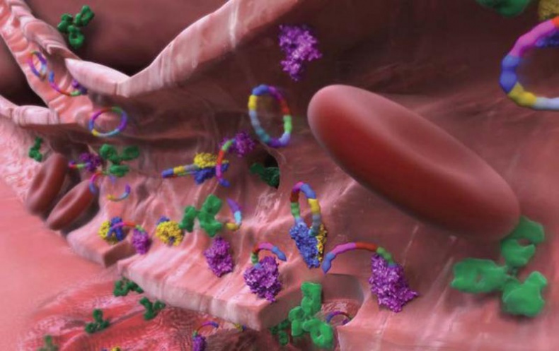 Иллюстрация к книге — Звездный витамин [i_015.jpg]