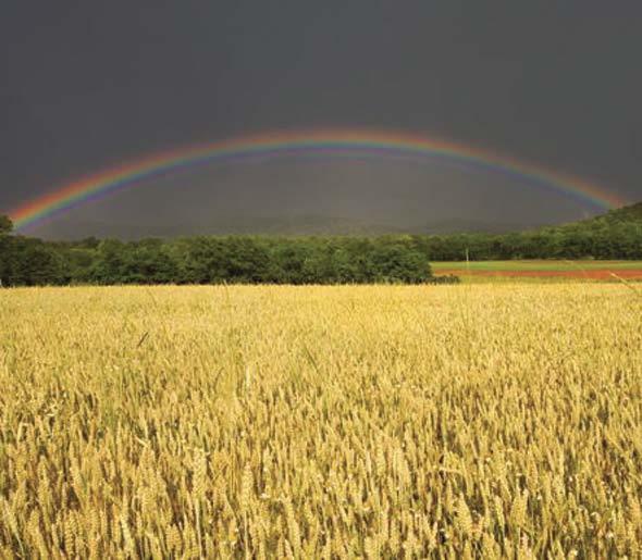 Иллюстрация к книге — Звездный витамин [i_016.jpg]