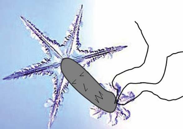 Иллюстрация к книге — Звездный витамин [i_019.jpg]