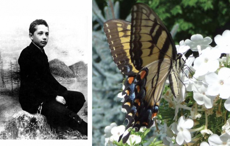 Иллюстрация к книге — Звездный витамин [i_025.jpg]