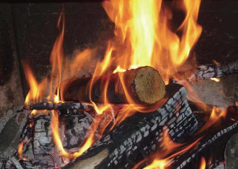 Иллюстрация к книге — Звездный витамин [i_027.jpg]