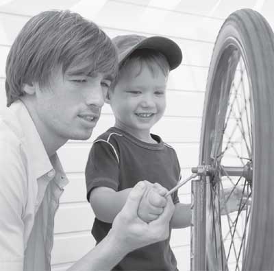 Иллюстрация к книге — Как сделать из обычного мужа образцового отца [Autogen_eBook_id5.jpg]