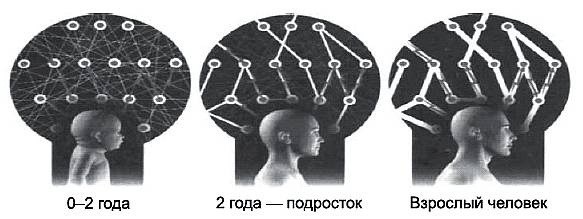 Иллюстрация к книге — Как помочь школьнику? Развиваем память, усидчивость и внимание [_117r.jpg]