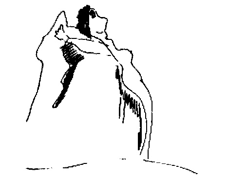 Иллюстрация к книге — Кризис среднего возраста. Записки о выживании [doc2fb_image_03000006.jpg]