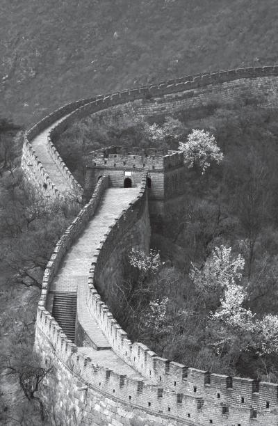 Иллюстрация к книге — Дао голоса. Голос как ваш инструмент [_35.jpg]