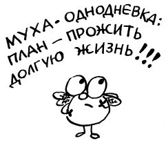 Иллюстрация к книге — Простая правильная жизнь [i_061.jpg]