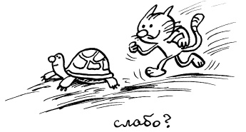 Иллюстрация к книге — Простая правильная жизнь [i_157.jpg]