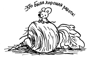 Иллюстрация к книге — Простая правильная жизнь [i_251.jpg]