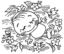 Иллюстрация к книге — Простая правильная жизнь [i_255.jpg]