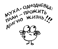 Иллюстрация к книге — Начнем сначала, или Как разглядеть свое Завтра [i_049.jpg]