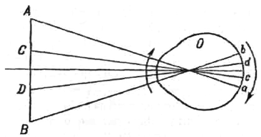 Иллюстрация к книге — Рефлексы головного мозга [i_006.jpg]