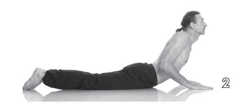 Иллюстрация к книге — Хорошее зрение - ясный ум на долгие годы! Древнейшие практики Востока [i_013.jpg]