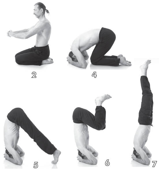 Иллюстрация к книге — Хорошее зрение - ясный ум на долгие годы! Древнейшие практики Востока [i_017.jpg]