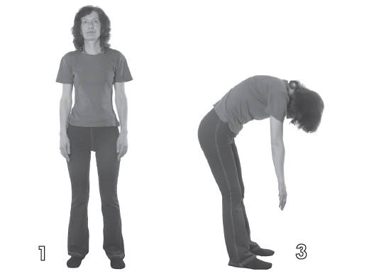 Иллюстрация к книге — Хорошее зрение - ясный ум на долгие годы! Древнейшие практики Востока [i_032.jpg]