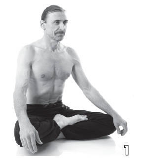 Иллюстрация к книге — Хорошее зрение - ясный ум на долгие годы! Древнейшие практики Востока [i_049.jpg]