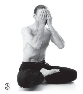 Иллюстрация к книге — Хорошее зрение - ясный ум на долгие годы! Древнейшие практики Востока [i_050.jpg]