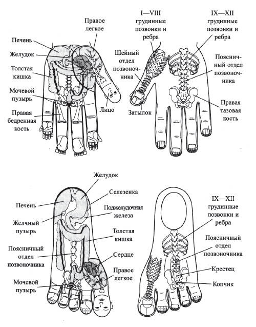Иллюстрация к книге — Хорошее зрение - ясный ум на долгие годы! Древнейшие практики Востока [i_052.jpg]