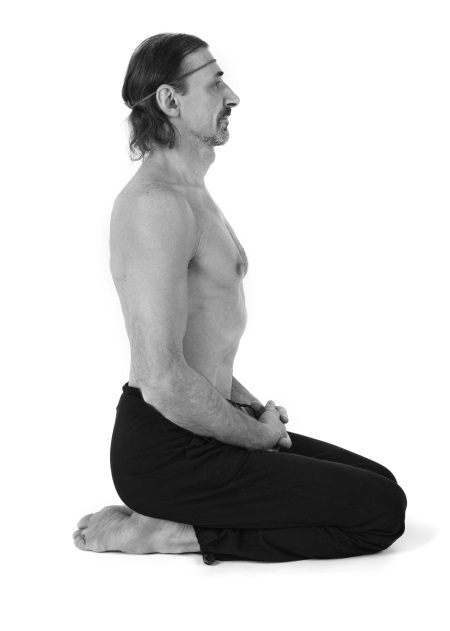 Иллюстрация к книге — Йога 7x7. Суперкурс для начинающих [i_004.jpg]