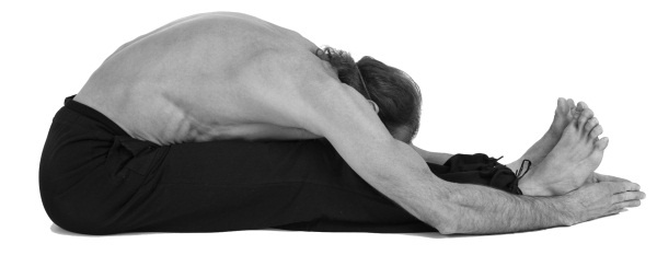 Иллюстрация к книге — Йога 7x7. Суперкурс для начинающих [i_006.jpg]