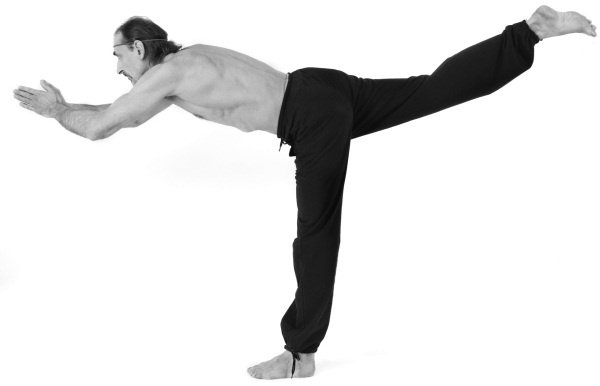 Иллюстрация к книге — Йога 7x7. Суперкурс для начинающих [i_016.jpg]