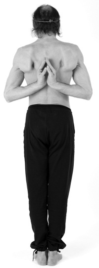 Иллюстрация к книге — Йога 7x7. Суперкурс для начинающих [i_018.jpg]