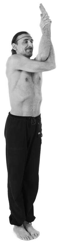 Иллюстрация к книге — Йога 7x7. Суперкурс для начинающих [i_024.jpg]