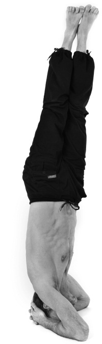 Иллюстрация к книге — Йога 7x7. Суперкурс для начинающих [i_033.jpg]