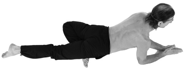 Иллюстрация к книге — Йога 7x7. Суперкурс для начинающих [i_039.jpg]