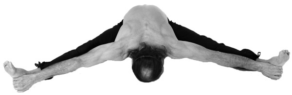 Иллюстрация к книге — Йога 7x7. Суперкурс для начинающих [i_041.jpg]