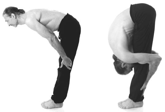 Иллюстрация к книге — Йога для коррекции фигуры [Autogen_eBook_id136.jpg]