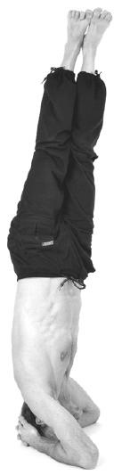 Иллюстрация к книге — Йога для коррекции фигуры [Autogen_eBook_id153.jpg]