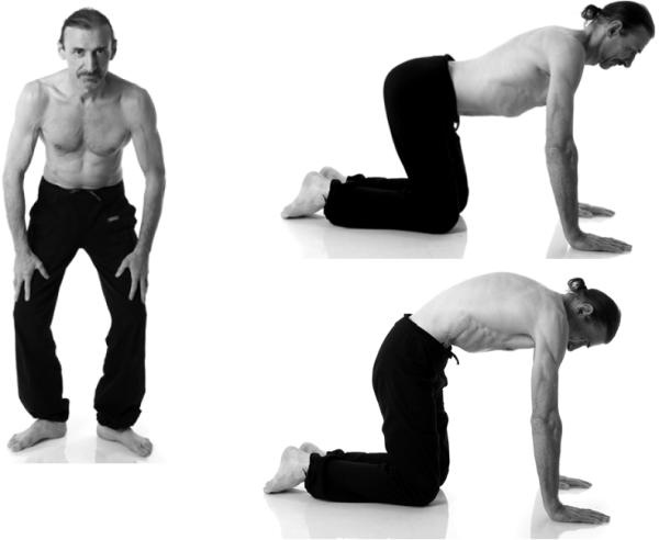 Иллюстрация к книге — Йога для коррекции фигуры [Autogen_eBook_id187.jpg]