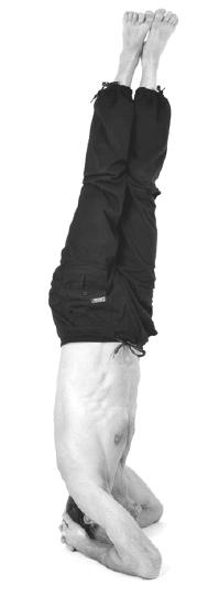 Иллюстрация к книге — Йога для коррекции фигуры [Autogen_eBook_id45.jpg]