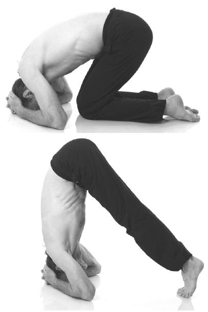 Иллюстрация к книге — Йога для коррекции фигуры [Autogen_eBook_id69.jpg]