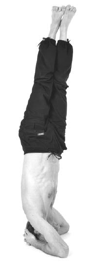 Иллюстрация к книге — Йога для коррекции фигуры [Autogen_eBook_id71.jpg]