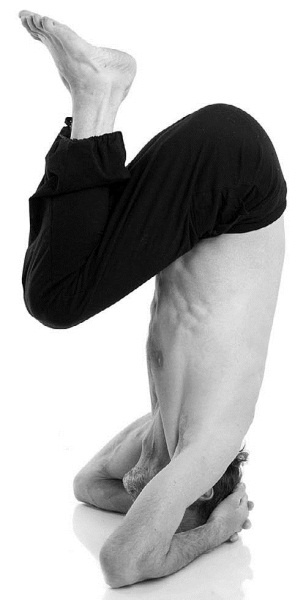 Иллюстрация к книге — Йога за 29 дней [Autogen_eBook_id156.jpg]