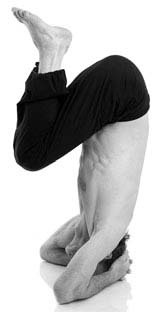 Иллюстрация к книге — Йога за 29 дней [Autogen_eBook_id161.jpg]