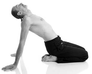 Иллюстрация к книге — Йога за 29 дней [Autogen_eBook_id164.jpg]