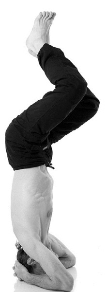 Иллюстрация к книге — Йога за 29 дней [Autogen_eBook_id169.jpg]