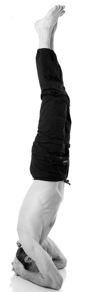 Иллюстрация к книге — Йога за 29 дней [Autogen_eBook_id170.jpg]