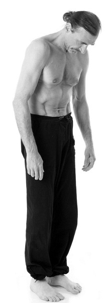 Иллюстрация к книге — Йога за 29 дней [Autogen_eBook_id183.jpg]