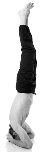 Иллюстрация к книге — Йога за 29 дней [Autogen_eBook_id198.jpg]