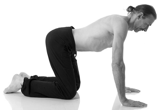 Иллюстрация к книге — Йога за 29 дней [Autogen_eBook_id217.jpg]