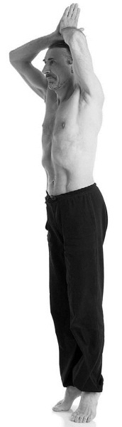 Иллюстрация к книге — Йога за 29 дней [Autogen_eBook_id61.jpg]