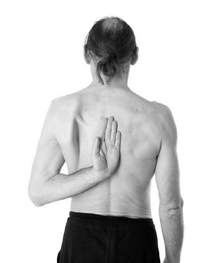 Иллюстрация к книге — Йога за 29 дней [Autogen_eBook_id75.jpg]